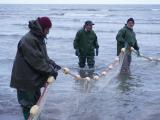 ۲ هزار و ۳۰۰ تن انواع ماهی استخوانی در خزر صید شد