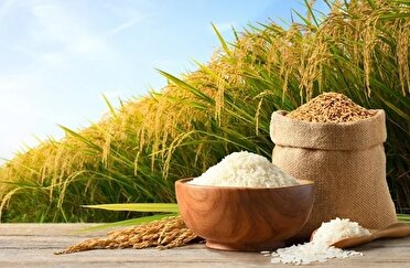 گیلان قطب کشاورزی ، صنعتی اش نکنید