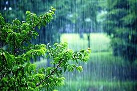 گیلان ۶ تا ۱۲ درجه خنک می شود