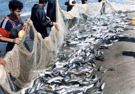 1700 انواع در فصل قانونی صید شد