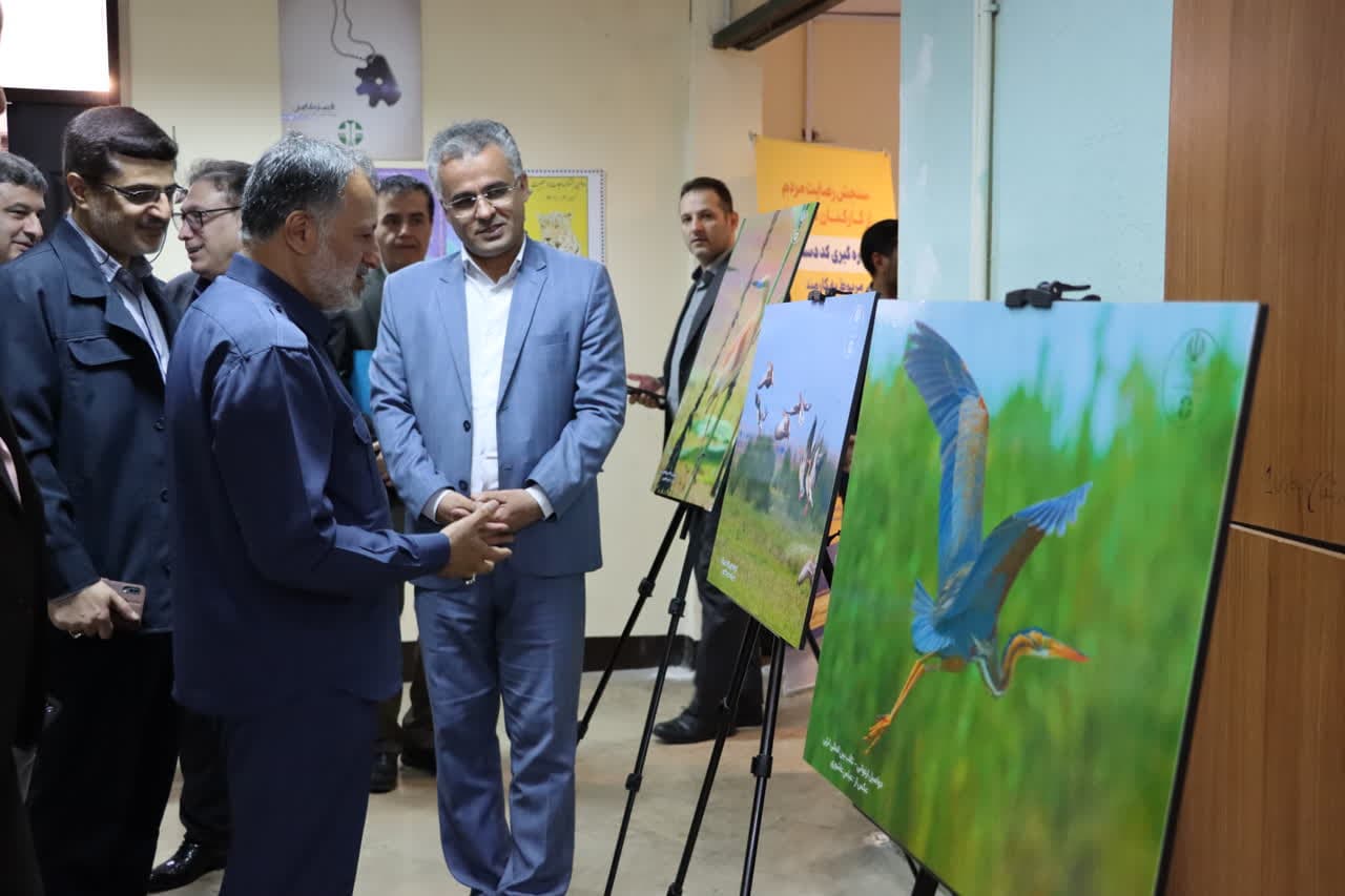 مدیریت در حفاظت از انفال مانند ورود به میدان مین است
