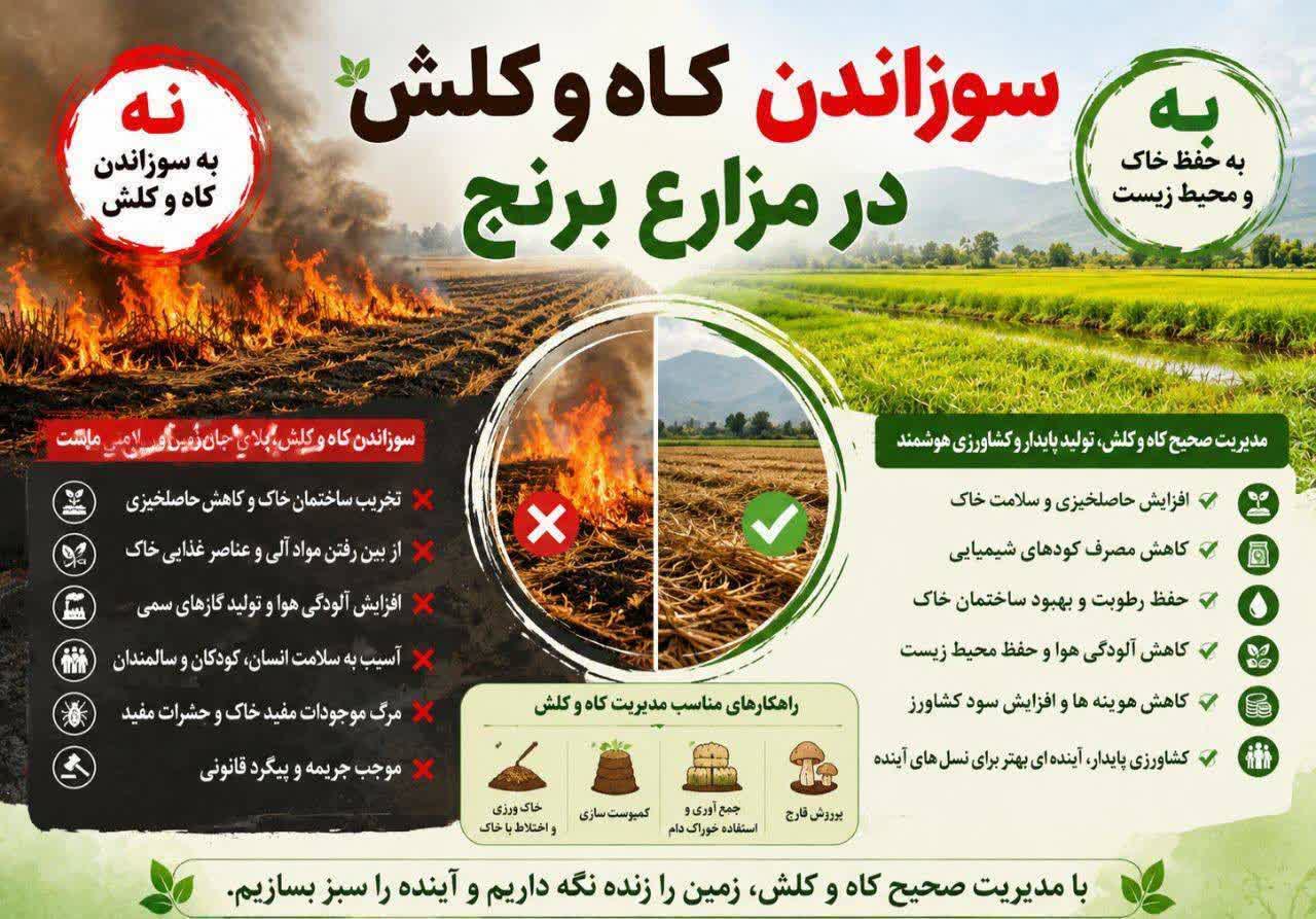 سوزاندن کاه و کلش ممنوع و مشمول پیگرد قانونی است