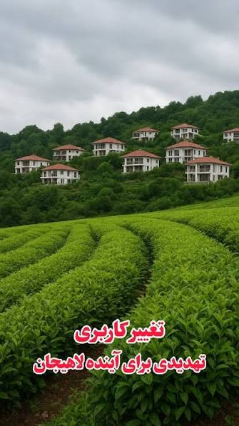 ماجرای لغو تغییر کاربری باغ‌های چای لاهیجان