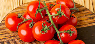 بنکداران در حال جمع آوری گوجه فرنگی هستند!