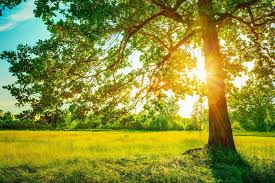 آخر هفته گرمای هوا  در گیلان کمی کاهش دارد