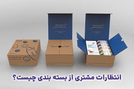 کنفرانس علمی طراحی بسته بندی دردانشگاه گیلان برگزار شد