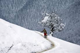 مرخصی همه مدیران لغو شود